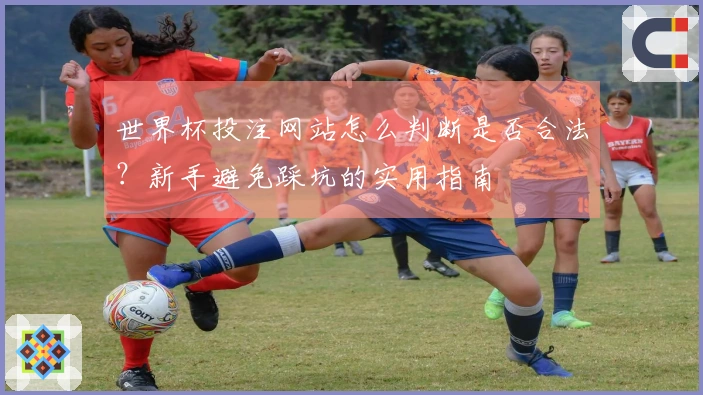 世界杯投注网站怎么判断是否合法？新手避免踩坑的实用指南