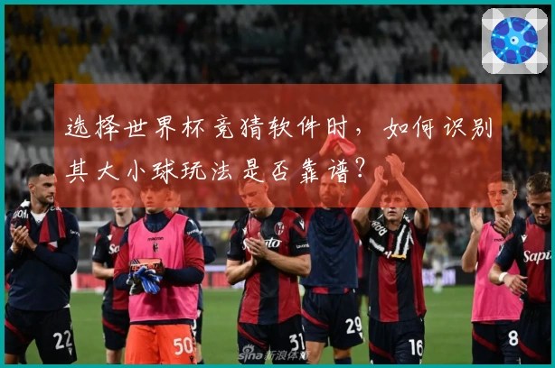 选择世界杯竞猜软件时，如何识别其大小球玩法是否靠谱？