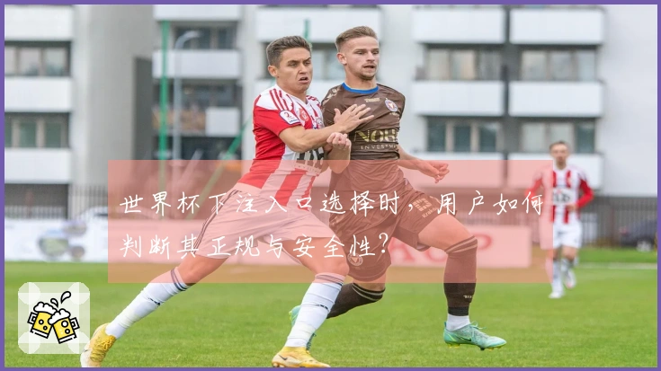 世界杯下注入口选择时，用户如何判断其正规与安全性？