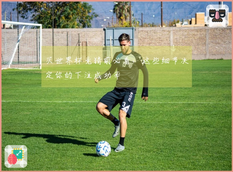 金年会体育资讯图片